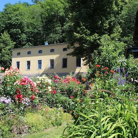 Ferienwohnung Goldgrund Meissen Luaran gambar