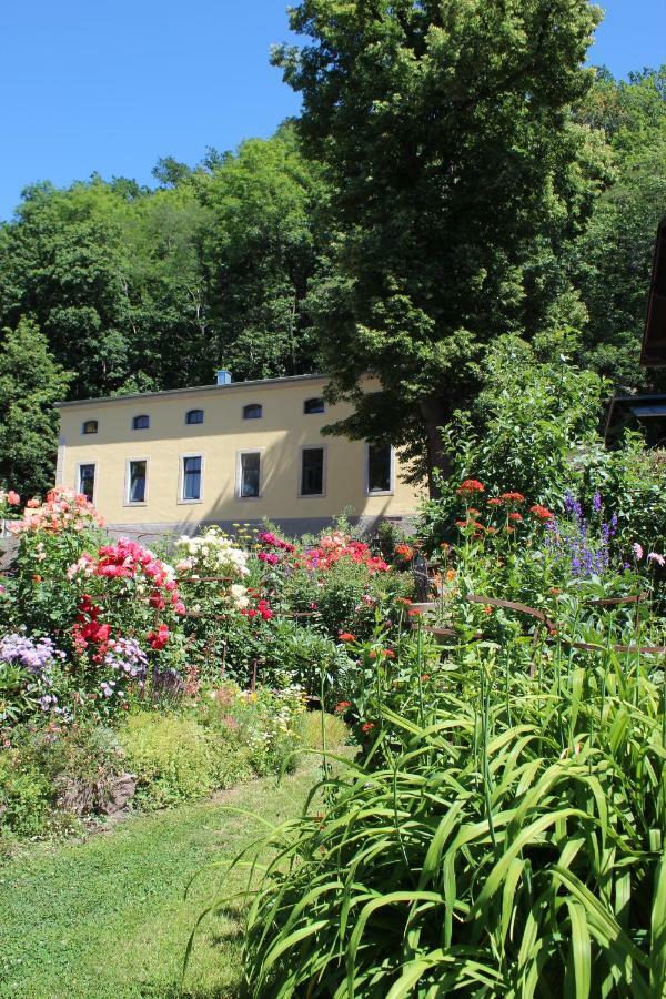 Ferienwohnung Goldgrund Meissen Luaran gambar